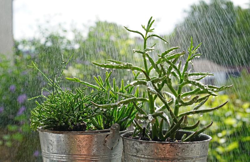 Customer photo 3 of 5. Click to open full size image.