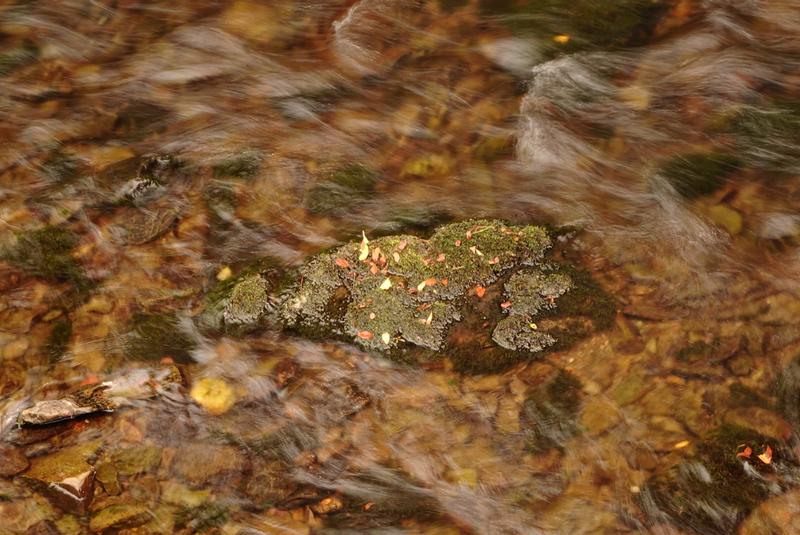 Customer photo 3 of 5. Click to open full size image.