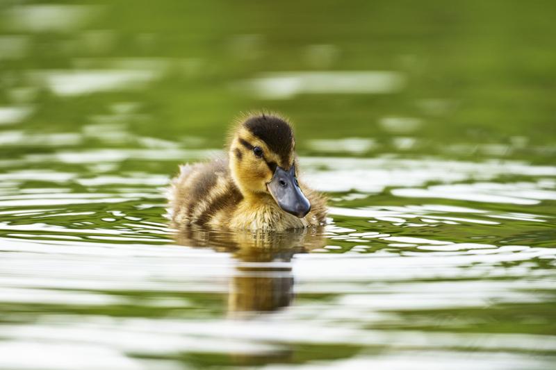 Customer photo 4 of 6. Click to open full size image.