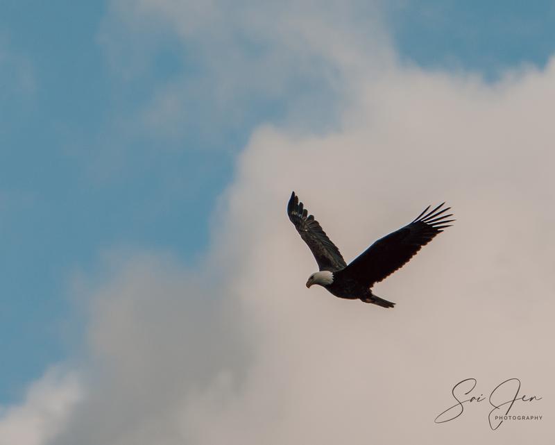 Customer photo 1 of 6. Click to open full size image.