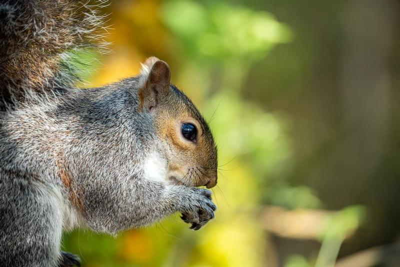 Customer photo 2 of 6. Click to open full size image.