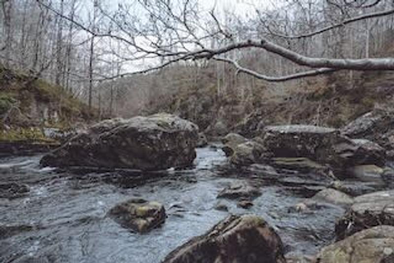 The black water