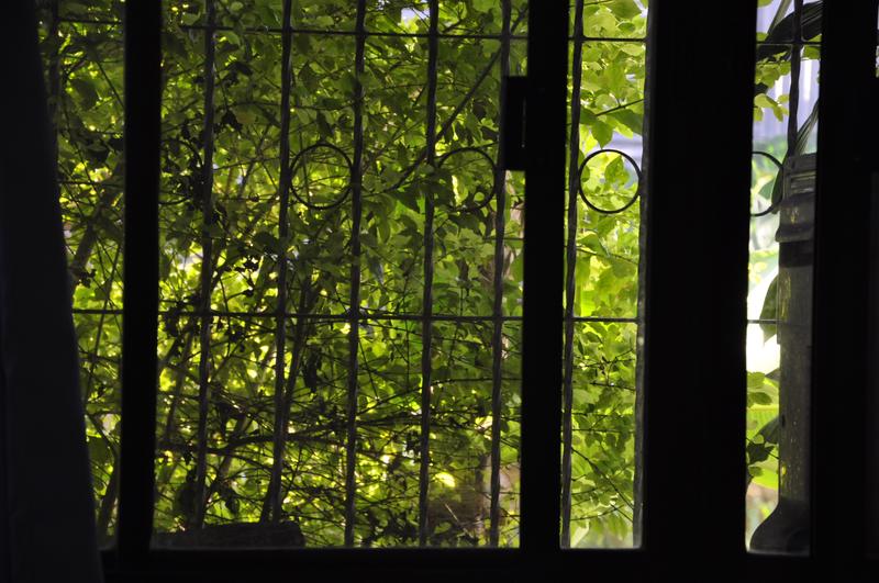 Customer photo 2 of 6. Click to open full size image.