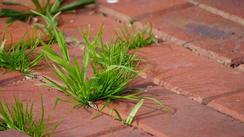 Customer photo 6 of 6. Click to open full size image.