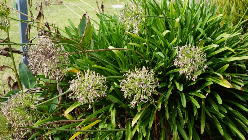 Customer photo 1 of 6. Click to open full size image.