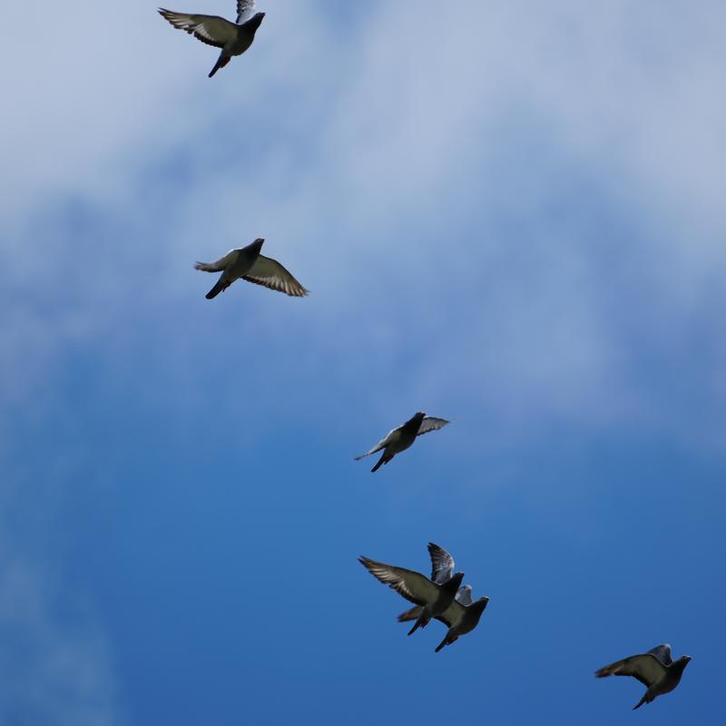 Customer photo 1 of 6. Click to open full size image.