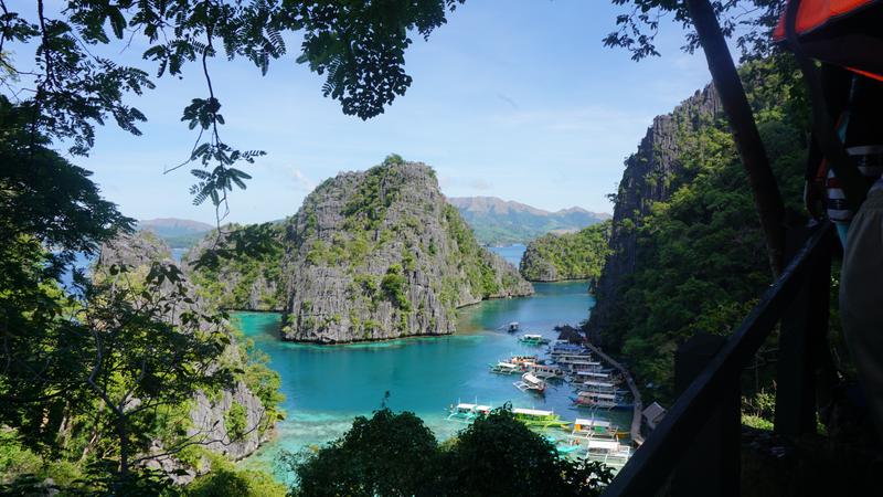 Customer photo 1 of 6. Click to open full size image.