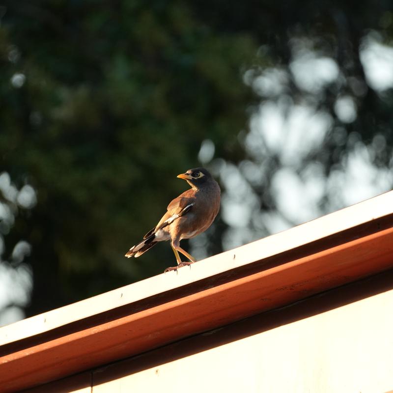 Customer photo 6 of 6. Click to open full size image.