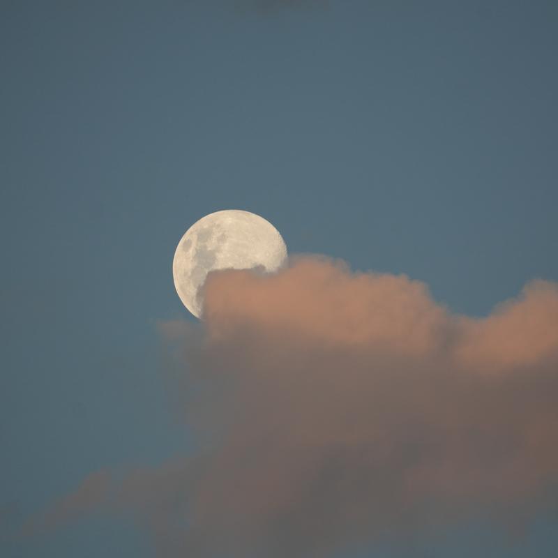 Customer photo 4 of 6. Click to open full size image.