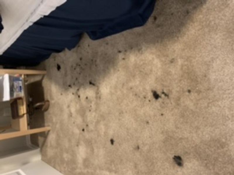 Photo submitted with review of product