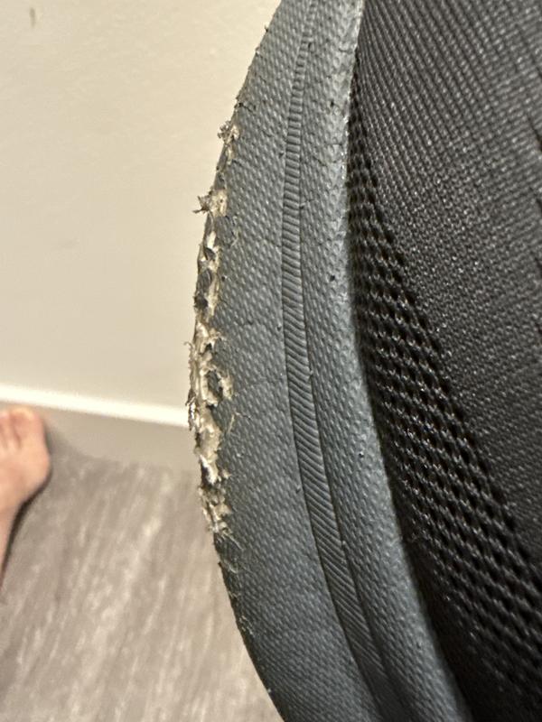 Photo submitted with review of product