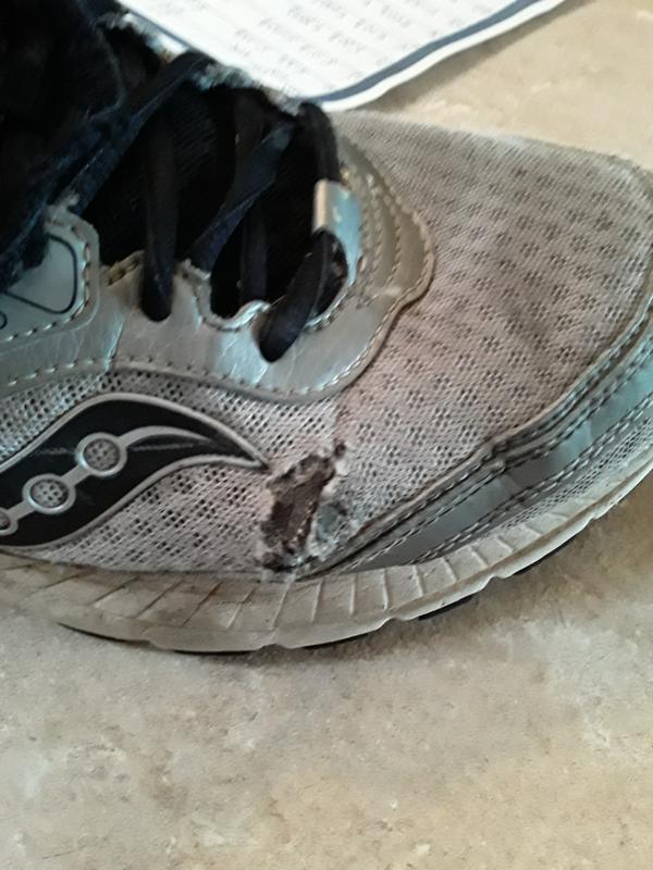 Cohesion 7 saucony reviews online