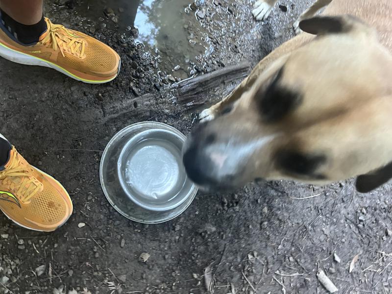 Photo submitted with review of product