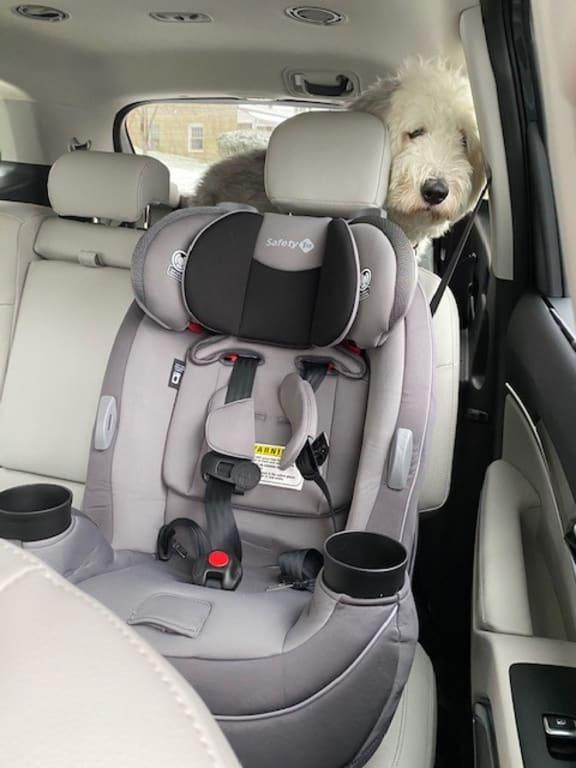 Booster seat cheap meijer