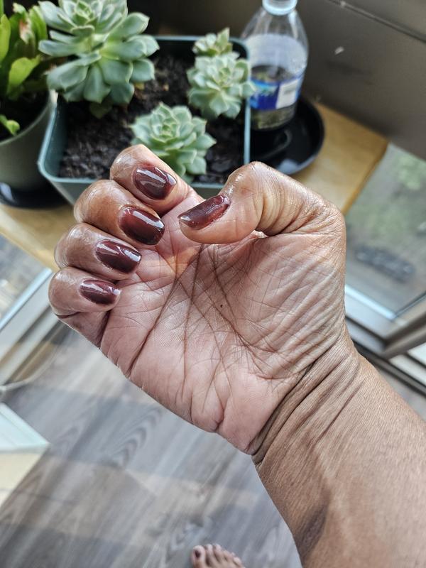 ASP Black Mirror Colored Builder Gel | Hard Gel | Sally Beauty