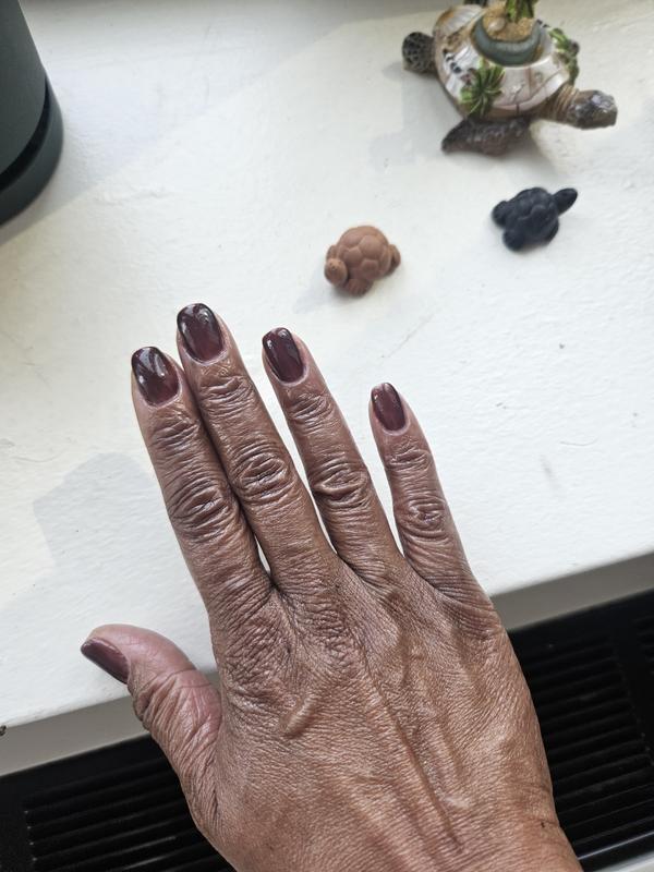 ASP Black Mirror Colored Builder Gel | Hard Gel | Sally Beauty