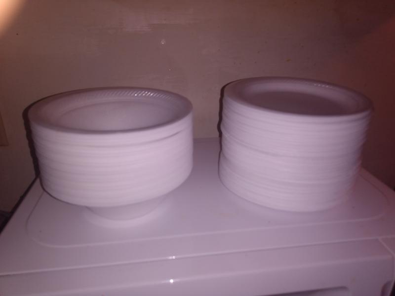 Styrofoam Plate 6