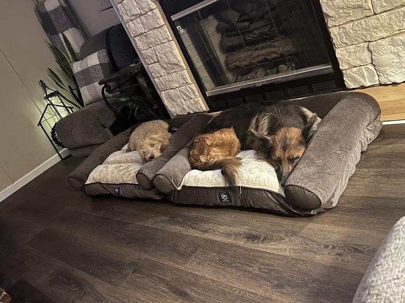 Serta Luxury Sleeper Sofa Pet Bed, 47 X 38 (Choose Your