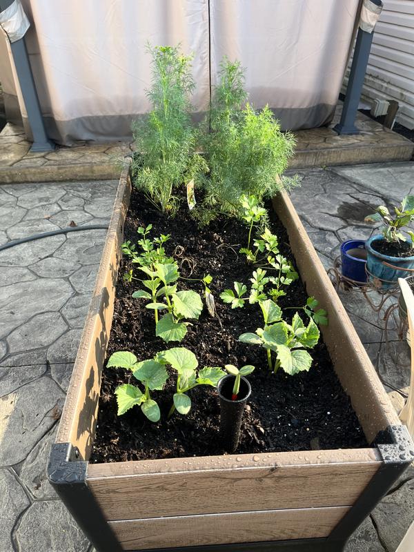 Keter Signature Collection 29 Gal. Resin Elevated Garden Bed