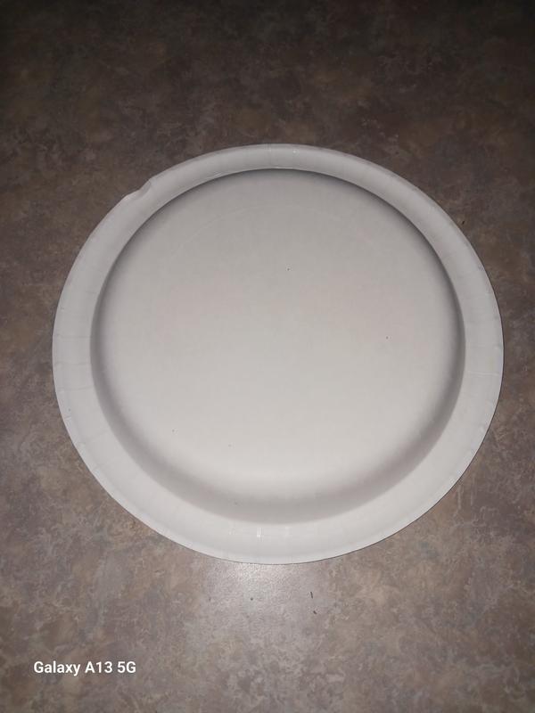 Member's Mark Ultra Lunch Paper Plates (8.5, 300 ct.) - Sam's Club