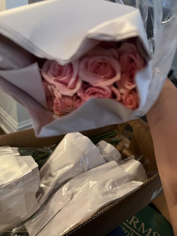 Member's Mark Spray Roses (Choose color variety and stem count) - Sam's Club
