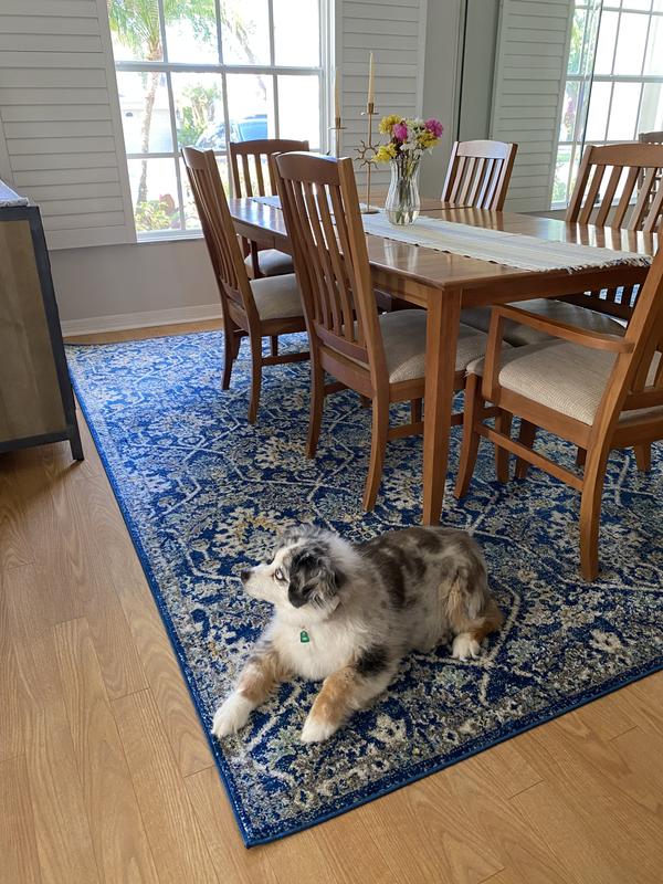 Sam S Club Area Rugs Blue Bryont Blog