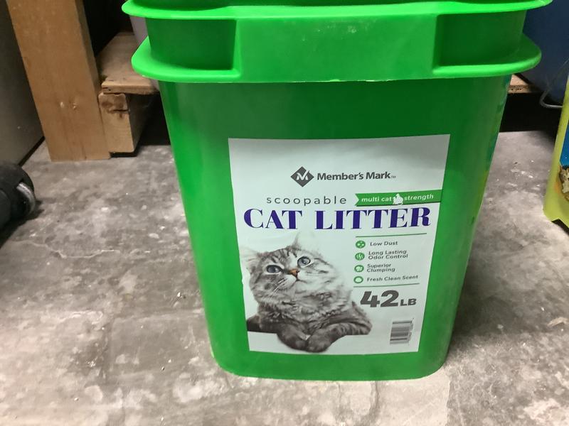 Cat litter at sam's club hotsell