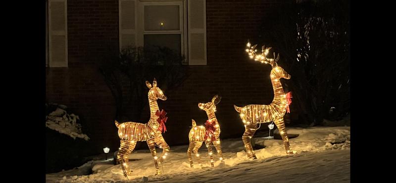 3-Piece Pre-Lit Holiday Twinkling Woodland Deer Family