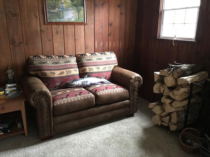 Cabin clearance sofa sleeper