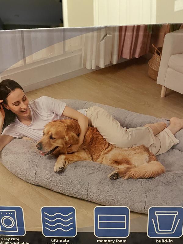 Sam's club dog outlet beds in store