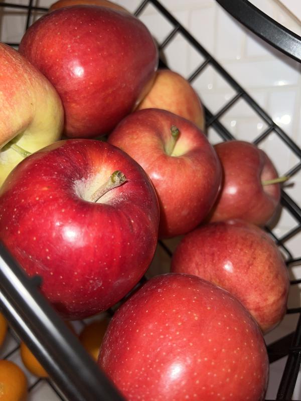 Gala Apples - 5 lbs – Oly Eats