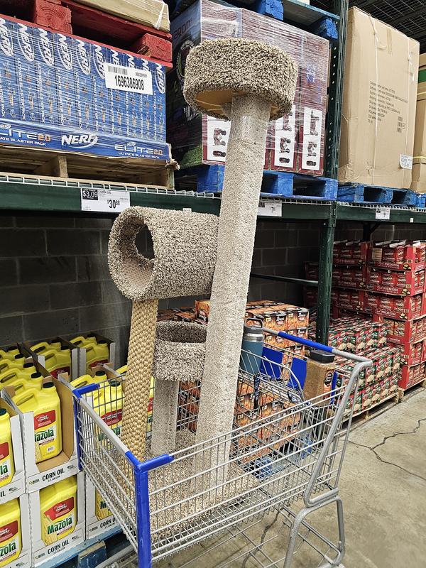 Carpeted cat store tower sam's club