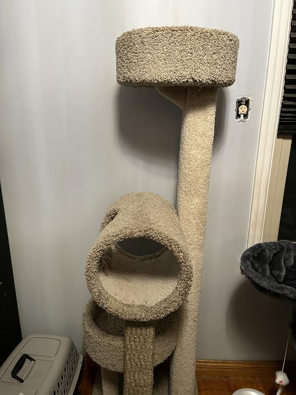 Sam's club cat tree in store sales