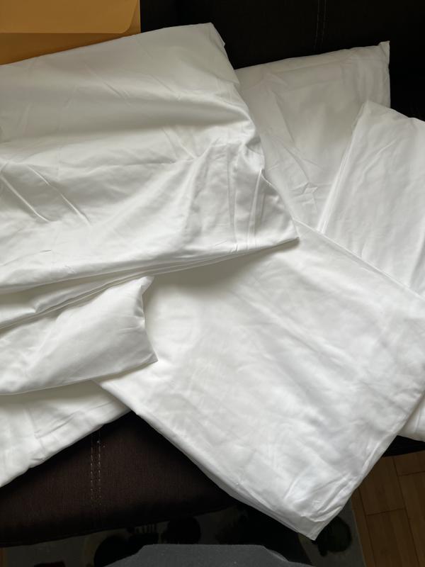 Wholesale Sheets – Affordable Bulk Bed Sheets - DollarDays