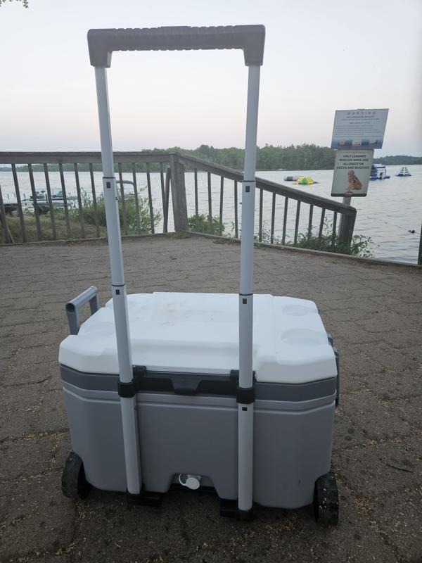 Igloo 60 Qt Wheeled Cooler Sam's Club informacionpublica.svet.gob.gt
