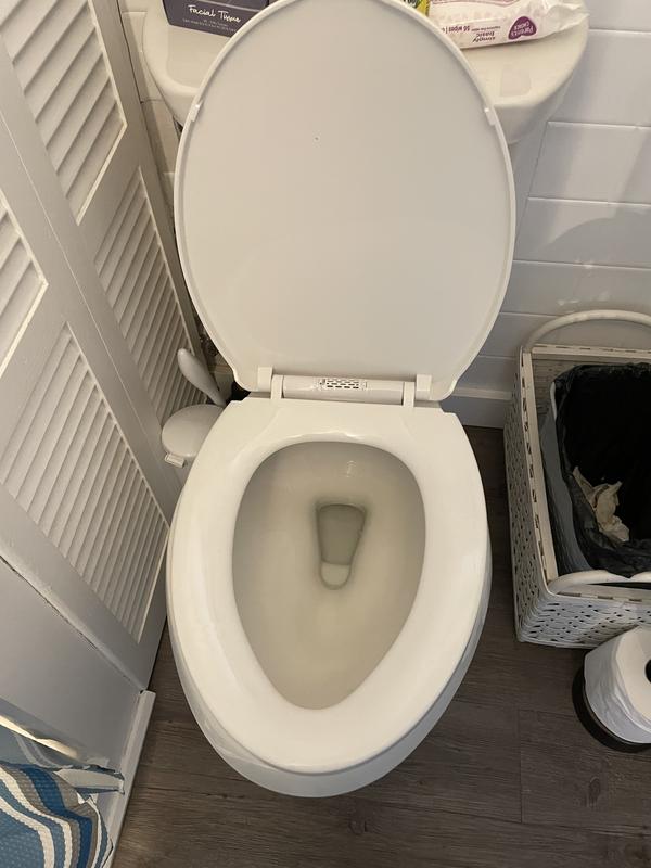 Why Did My Toilet Seat Turn Blue