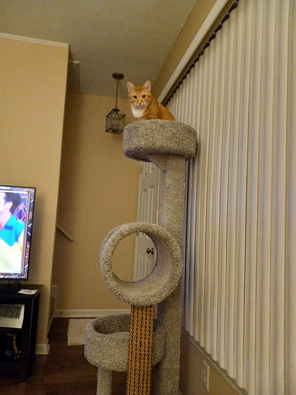 Multi Level Carpeted Cat Tower Tan 68 Sam s Club