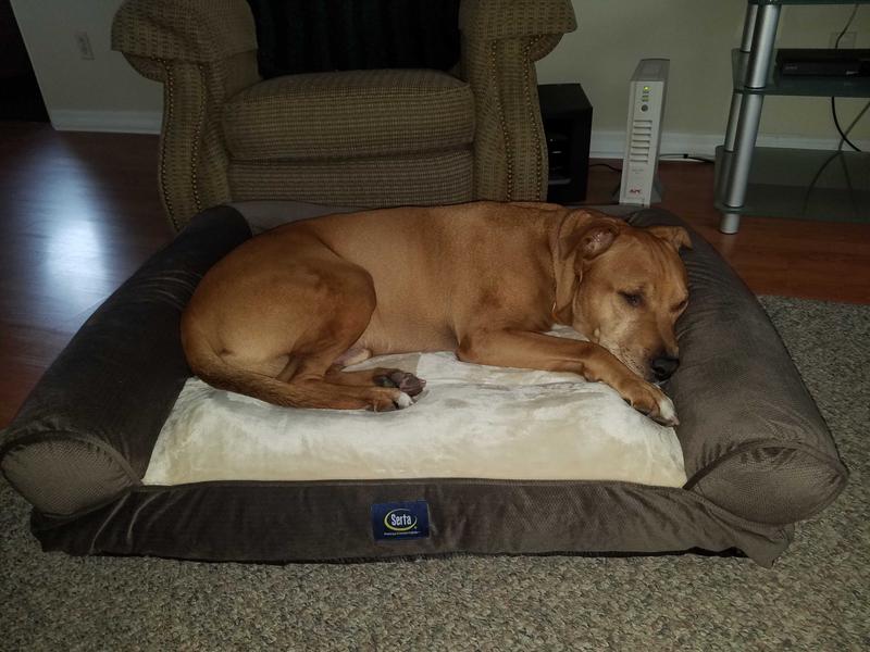 Serta XL Round Bolster Couch Pet Bed 40 x 30