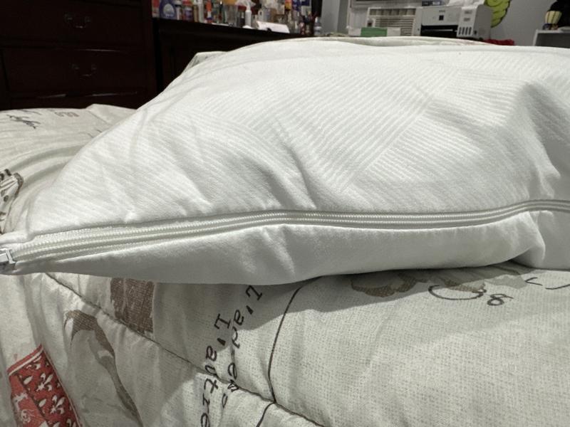 Sam's club serta outlet pillows