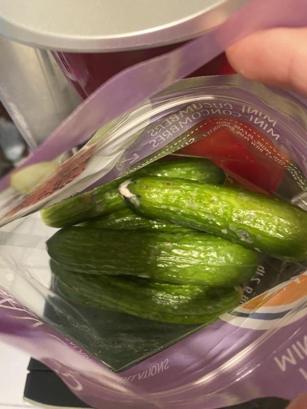 Sunset® Mini Cucumbers, 6 ct / 14 oz - Harris Teeter