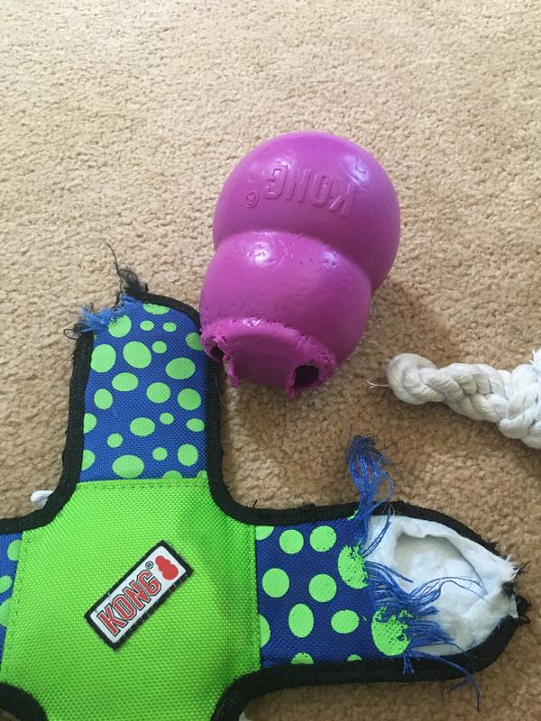 Puppy KONG Play Pack 
