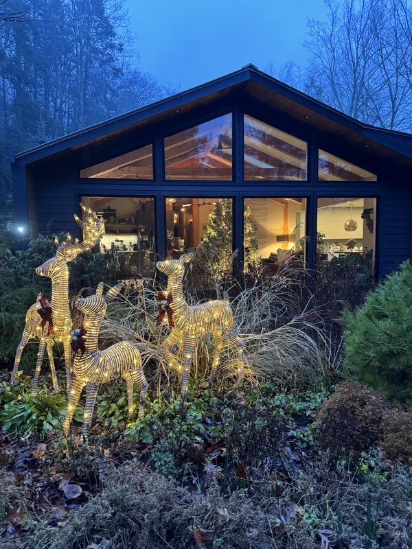 3-Piece Pre-Lit Holiday Twinkling Woodland Deer Family