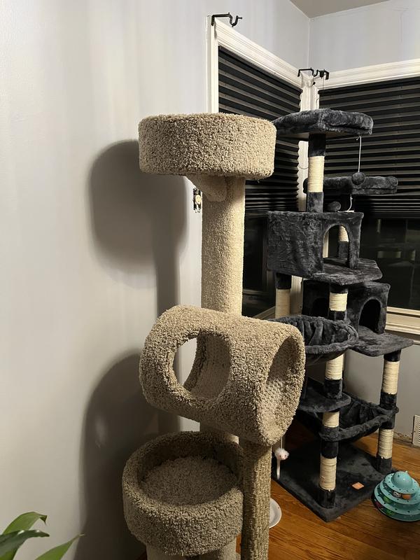 Cat tree shop sams club