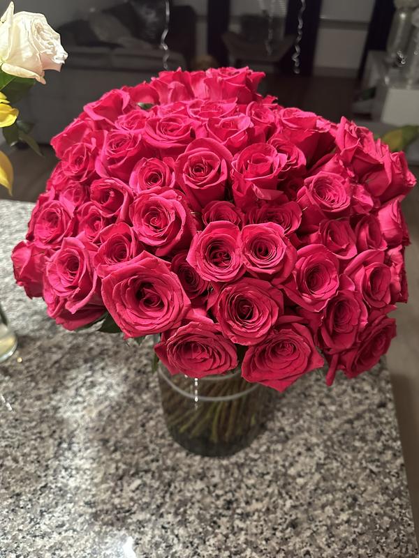 Member's Mark 40cm Rose Bouquet + Vase, 100 Stems (Red)