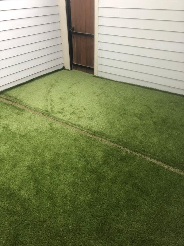 Select Surfaces Evergreen Artificial Grass Roll (Assorted Sizes) - Sam's  Club