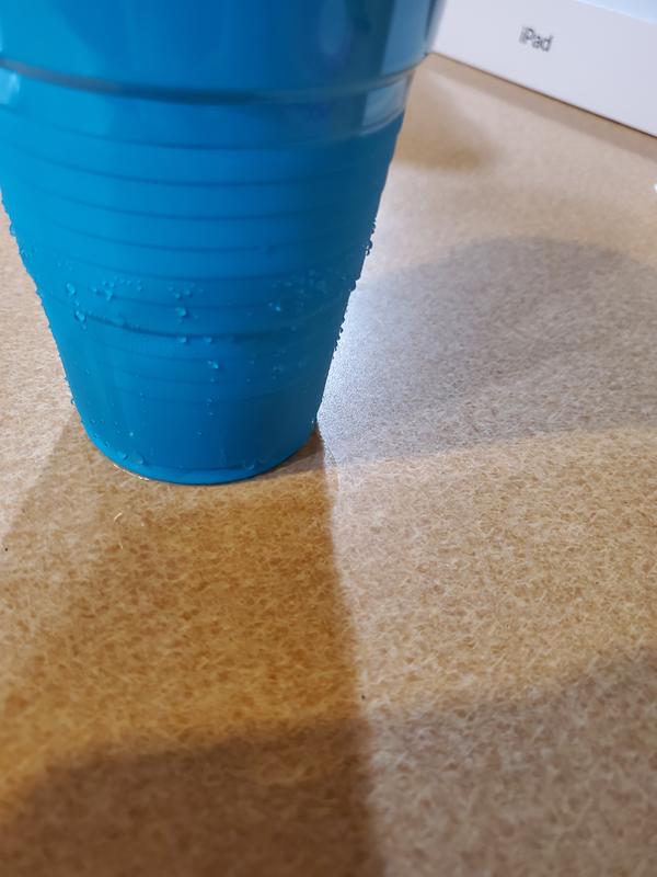Spring colored Solo cups!  Party entertainment, Spring colors, Solo cup