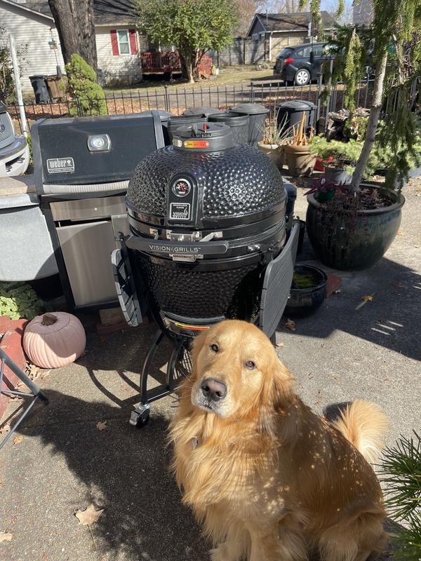 Sam's vision grill sale