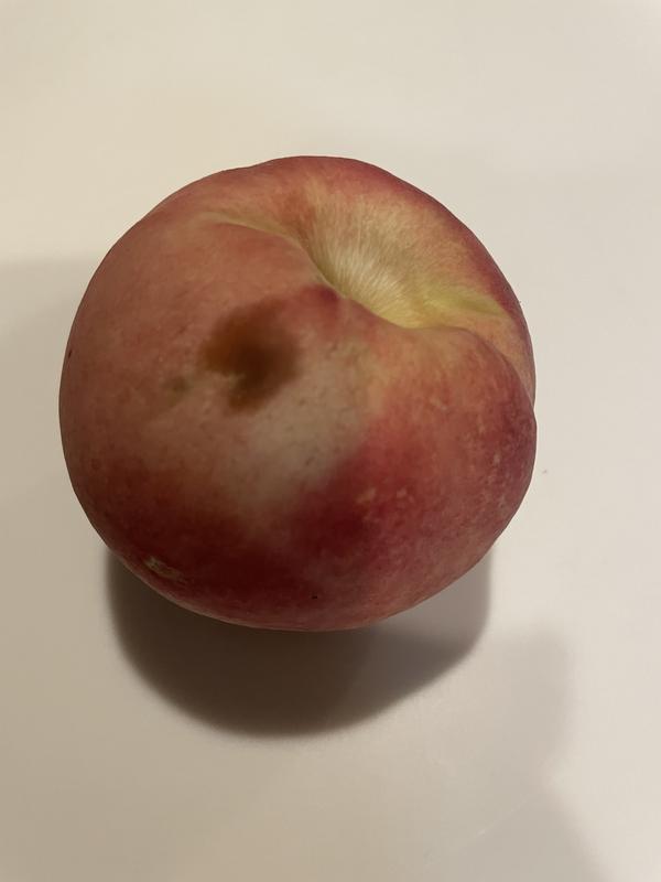 Organic Peaches (4 lbs.) - Sam's Club