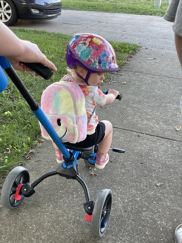 Sam's club online trike