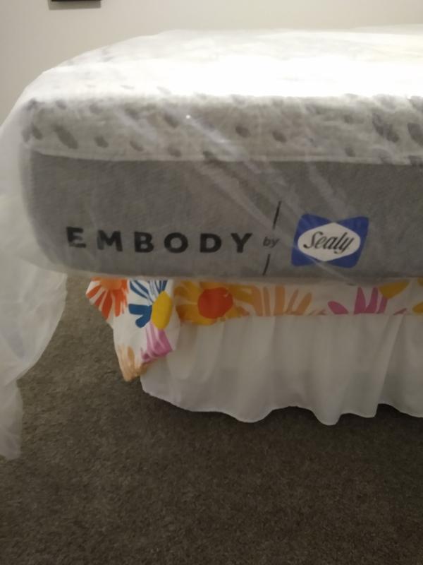 Sealy embody outlet pillow